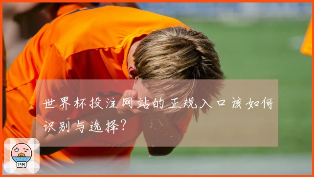 世界杯投注网站的正规入口该如何识别与选择？