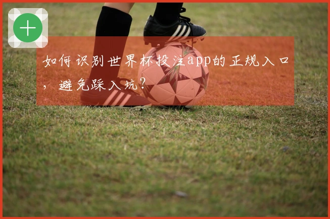如何识别世界杯投注app的正规入口，避免踩入坑？