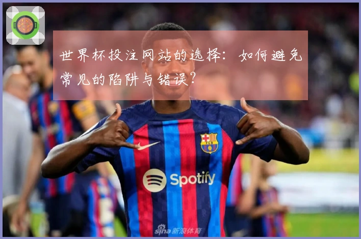 世界杯投注网站的选择：如何避免常见的陷阱与错误？