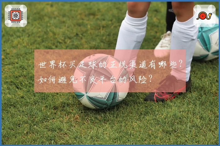 世界杯买足球的正规渠道有哪些？如何避免不良平台的风险？