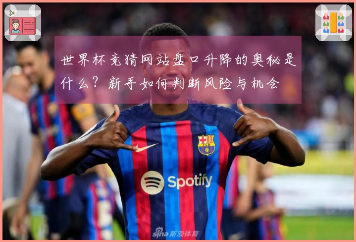 世界杯竞猜网站盘口升降的奥秘是什么？新手如何判断风险与机会