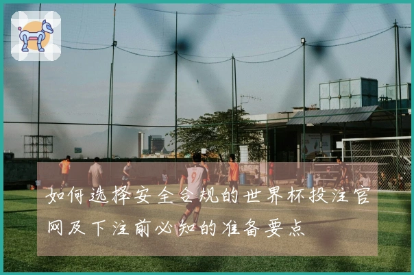 如何选择安全合规的世界杯投注官网及下注前必知的准备要点