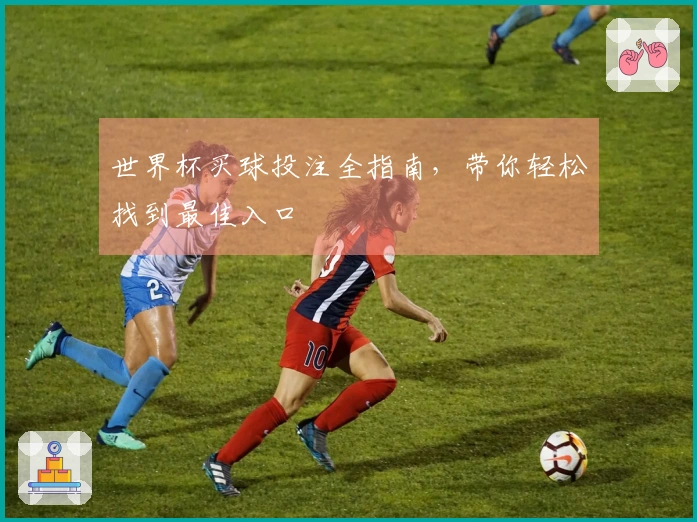 世界杯买球投注全指南，带你轻松找到最佳入口