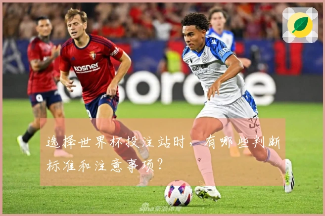 选择世界杯投注站时，有哪些判断标准和注意事项？