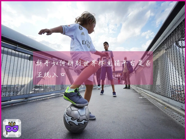 新手如何辨别世界杯竞猜平台是否正规入口