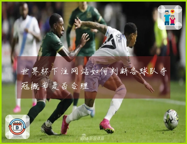 世界杯下注网站如何判断各球队夺冠概率是否合理