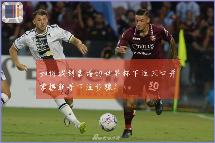 如何找到靠谱的世界杯下注入口并掌握新手下注步骤？