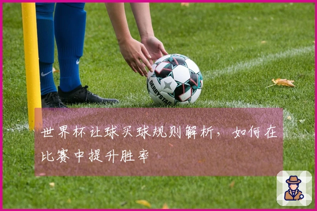 世界杯让球买球规则解析，如何在比赛中提升胜率
