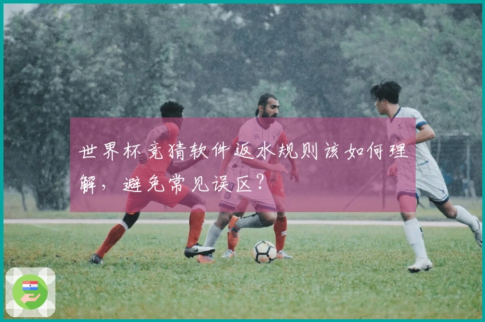 世界杯竞猜软件返水规则该如何理解,避免常见误区?