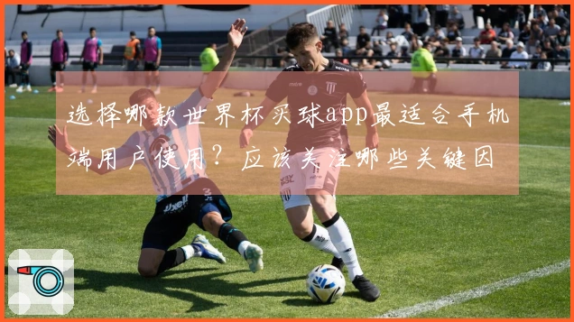 选择哪款世界杯买球app最适合手机端用户使用？应该关注哪些关键因素？