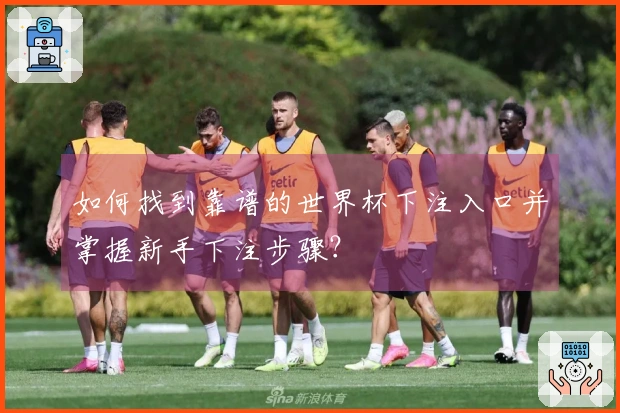 如何找到靠谱的世界杯下注入口并掌握新手下注步骤？