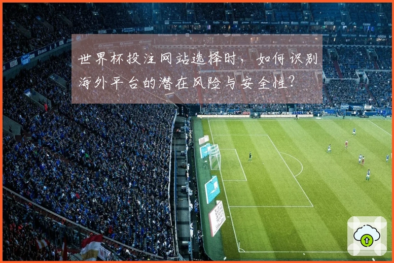 世界杯投注网站选择时，如何识别海外平台的潜在风险与安全性？