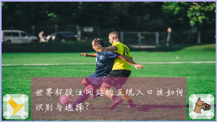 世界杯投注网站的正规入口该如何识别与选择?