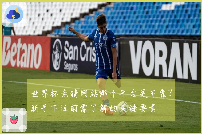 世界杯竞猜网站哪个平台更可靠？新手下注前需了解的关键要素