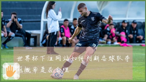 世界杯下注网站如何判断各球队夺冠概率是否合理