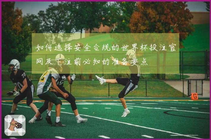 如何选择安全合规的世界杯投注官网及下注前必知的准备要点