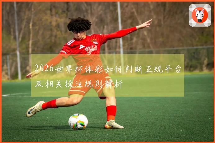 2026世界杯体彩如何判断正规平台及相关投注规则解析