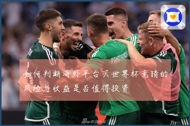 如何判断海外平台买世界杯竞猜的风险与收益是否值得投资