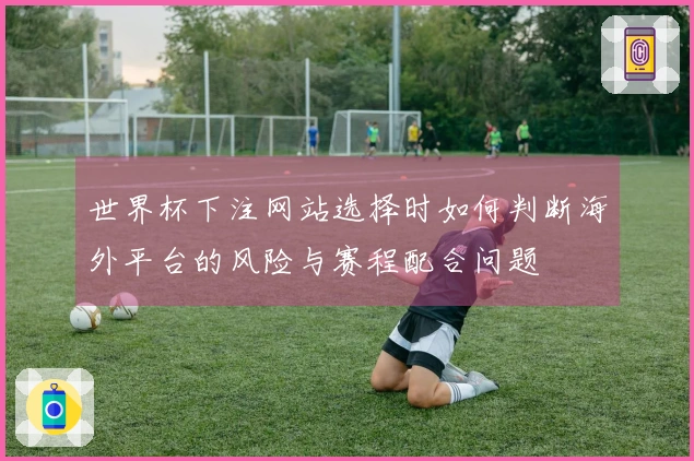 世界杯下注网站选择时如何判断海外平台的风险与赛程配合问题