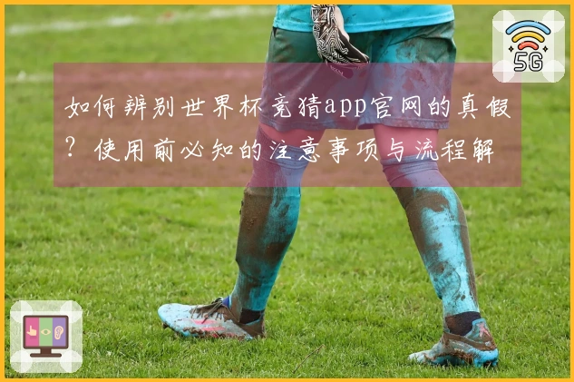 如何辨别世界杯竞猜app官网的真假？使用前必知的注意事项与流程解析