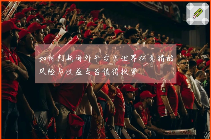 如何判断海外平台买世界杯竞猜的风险与收益是否值得投资