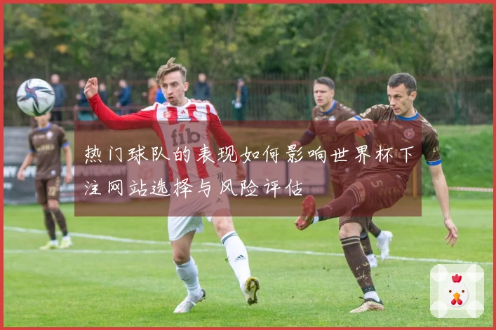 热门球队的表现如何影响世界杯下注网站选择与风险评估