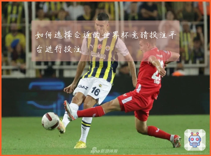 如何选择合适的世界杯竞猜投注平台进行投注