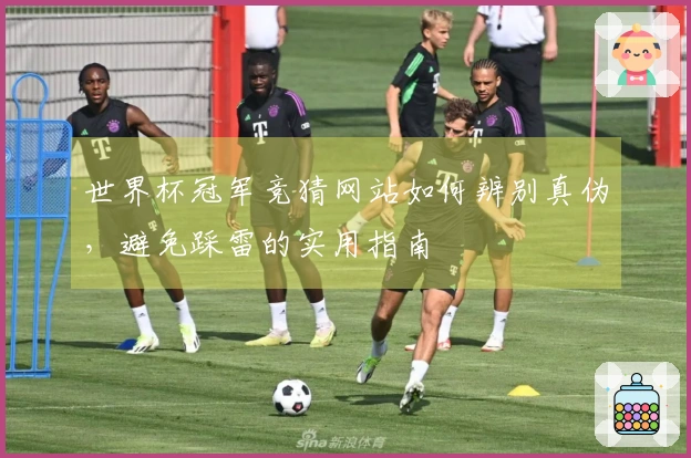 世界杯冠军竞猜网站如何辨别真伪,避免踩雷的实用指南