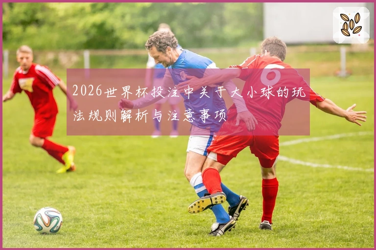 2026世界杯投注中关于大小球的玩法规则解析与注意事项
