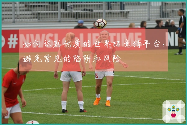 如何识别优质的世界杯竞猜平台，避免常见的陷阱和风险
