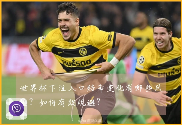 世界杯下注入口赔率变化有哪些风险？如何有效规避？