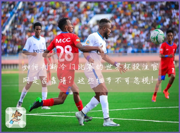 如何判断冷门比赛的世界杯投注官网是否靠谱?这些细节不可忽视!