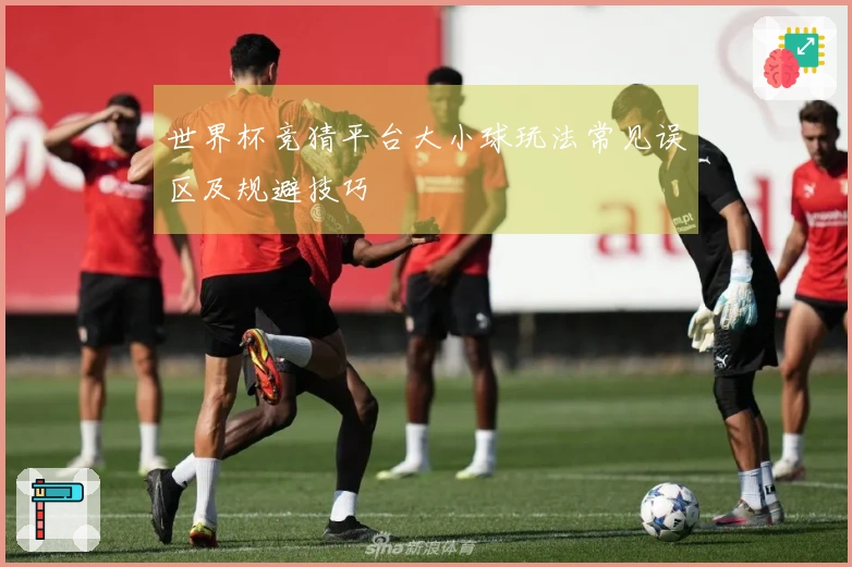 世界杯竞猜平台大小球玩法常见误区及规避技巧