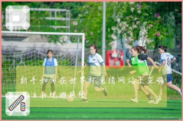 新手如何在世界杯竞猜网站上正确下注和规避风险